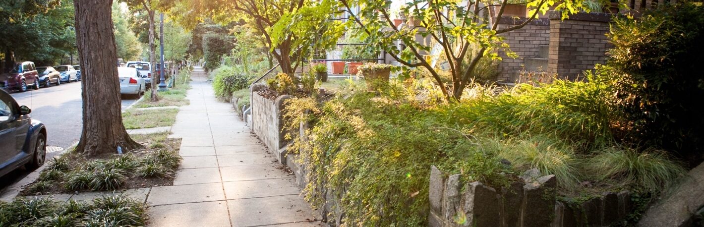DC row homes from the sidewalk with overgrown foliage in the late afternoon.