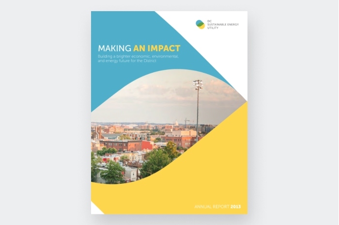 Fiscal Year 2013 Annual Report cover graphic.