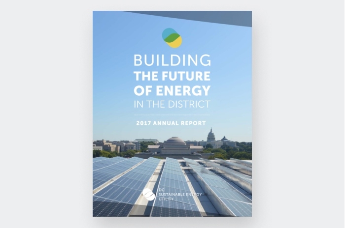 Fiscal Year 2017 Annual Report cover graphic