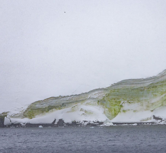 Snow- and ice-covered landscape of the arctic coming very close to the ocean. Parts of the snow closest to the water are covered in green algae.