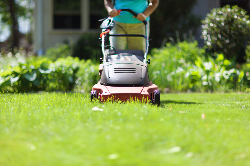 Resident mowing grass with an electric lawn mower.