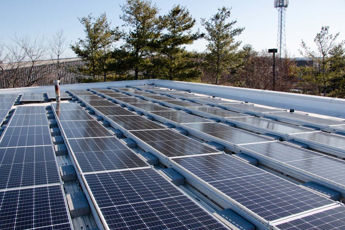 Rooftop solar system on a commercial building in DC with trees visible in the background.