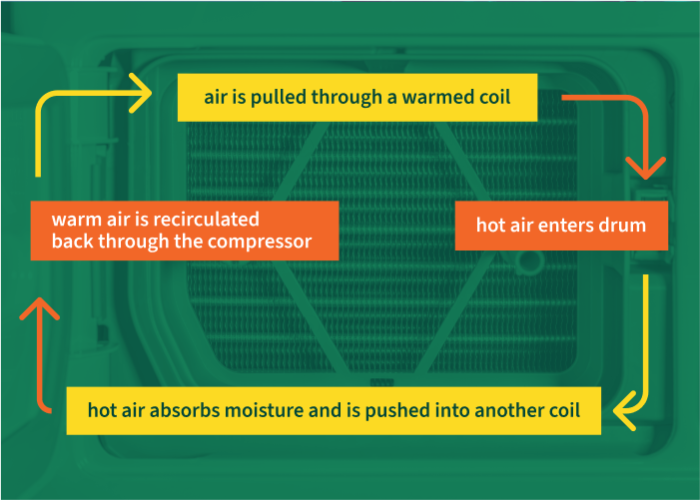 A graphic describing the cycle of how heat pump dryer air flow works in 4 steps.